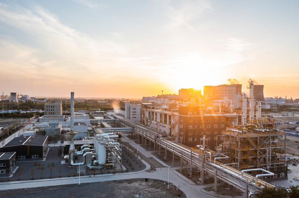 “專精特新”中小企業(yè)稱號(hào) -600